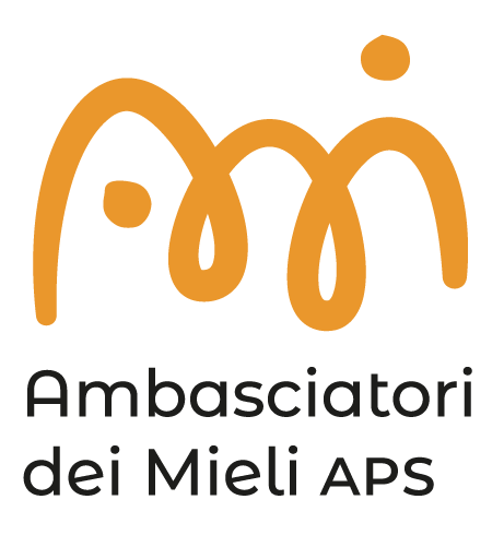 AMi aps logo quadrato 2righe